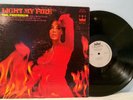 THE FIREBIRDS Light My Fire '69 Crown killer studio cash-in fuzz acid rock