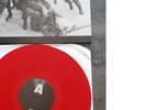 LP TODESSCHWADRON D.F.E. - BULLENSCHEIN - OI ROCK-O-RAMA REBELLES ISD
