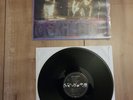 Temple Of The Dog VINYL*RAR*1ST PRESS  Top Zustand