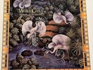 BEAUTY IN THE BEAST Wendy Carlos Audion SYN-200 MOOG ELECTRONIC MUSIC