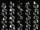 BACKSTREET BOYS - DNA - Vinyl (gatefold LP + booklet)