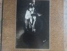 The Suicide Twins ‎– Silver Missiles And Nightingales LP - LICK RECORDS NM VINYL