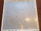 RARE  Electronic Music from York yes. 2-4 Vinyl