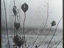 Recondite - Placid - TECHNO NEW VINYL