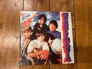The Monkees Monkeemania 40 Timeless hits Vinyl LP Arista 1979 VINYL RECORD 12