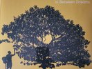 Jack Johnson ‎– In Between Dreams VINYL LP NEW & SEALED