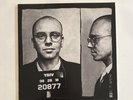 Logic YSIV Vinyl - Young Sinatra IV Vinyl Logic
