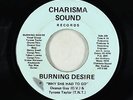 Modern Soul 45 - Burning Desire - Why She Had To Go - Charisma Sound rare