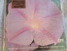 DON RANDI & QUEST NEW BABY SHEFFIELD LAB NEW SEALED