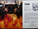 TAD – Salt Lick LP mit PROMO-INFO Sheet Glitterhouse GR 0076 Germany top MINT-