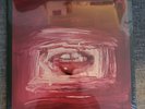 Nine Inch Nails Downward Spiral picture disc vinyl alternate art Richard Prince