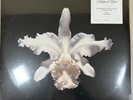 Aha Shake Heartbreak by Kings of Leon (Record, 2013) NEW SEALED