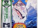 STEVE HILLAGE FISH RISING VIRGIN VIP6908 JAPAN PROMO OBI VINYL LP
