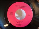 GUNNER LOVE ON THE ROXX 45 private detroit heavy metal hard rock hair glam MINT