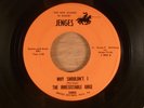 The Irresistable Urge  Why Shouldn't I/Magic Trip  RARE  Garage 1969 Jenges