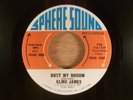 Elmo James  Dust My Broom/Rollin' And Tumblin'  Promo  aka Elmore James  Blues