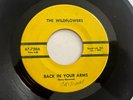 Obscure Florida Garage 45   The Wildflowers 
