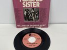 Twisted Sister 7
