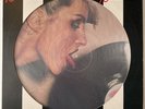 Blondie - Parallel Lines (US 1978 Limited Picture Disc Vinyl LP)