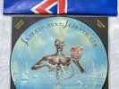 IRON MAIDEN -Seventh Son Of A…- Rare UK Picture Disc LP With Banner /Vinyl