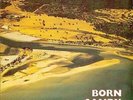 The Triffids - Born Sandy Devotional (LP, Album)