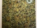 Bongzilla Methods For Attaining…Like New Unplayed Vinyl LP Marijuana Green Color