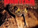 Pantera - The Great Southern Trendkill made in Germany 2LP 180gram new free post