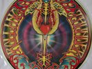 Mickey Hart Rolling Thunder LP Picture Disc Relix Ltd Edition