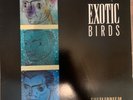 Exotic Birds Equilibrium Vinyl