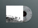 Timber Timbre 