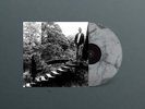 Timber Timbre 