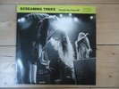 SCREAMING TREES - CHANGE HAS COME - 1ST PRESSING - VINYL 12