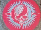 Grateful Dead 30 Trips Around The Sun. MSG 1987. Vinyl Record Slipmat.