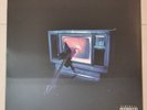 Willow  –  COPINGMECHANISM  LP New Vinyl