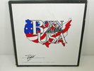 RADIO BROADCASTING 3LP VA BOX Born In The USA The Roots Years ELVIS Chuck Berry