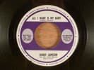 Bobby Jameson  All I Want Is My Baby/Each And Every Day Rolling Stones Fuzz Beat
