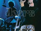 THE DOORS ABSOLUTELY LIVE NEW LP
