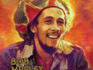 BOB MARLEY & THE WAILERS ULTIMATE WAILERS BOX NEW LP