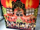 LP translucent PANTERA projects in the jungle 1984 US  Vinyl ROCK braun