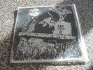 cobra 7 inch single looking for a lady p/s rip off records nwobhm Irish band ex