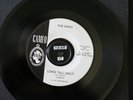 THE KINKS 