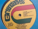 Mighty Diamonds 12 Gates of Zion GREENSLEEVES M- reggae 98