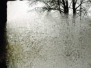 BON IVER For Emma, Forever Ago - VINYL LP *NEW & SEALED*