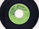 The Viceroys 45 Shadai Children VICTORIOUS STEPPERS REGGA MP3 root NM JA 142