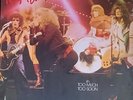 NEW YORK DOLLS - IN TOO MUCH TOO SOON - VINYL LP  