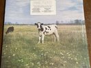 Screaming Abdabs Dark Side Of The Moo LP TRIXIE 1986 PINK FLOYD Bootleg