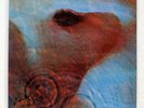 PINK FLOYD MEDDLE ODEON OP80375 JAPAN VINYL LP