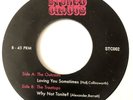 The Outcasts - Loving You Sometimes / The Treetops ‎– Why Not Tonite? Rare 7''