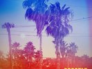 Dogstar - Somewhere Between The Power Lines And Palm Trees NEW Sealed Vinyl