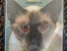 Blink-182 Cheshire Cat 12